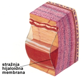 Preretinalno krvarenje.jpg (49723 bytes)
