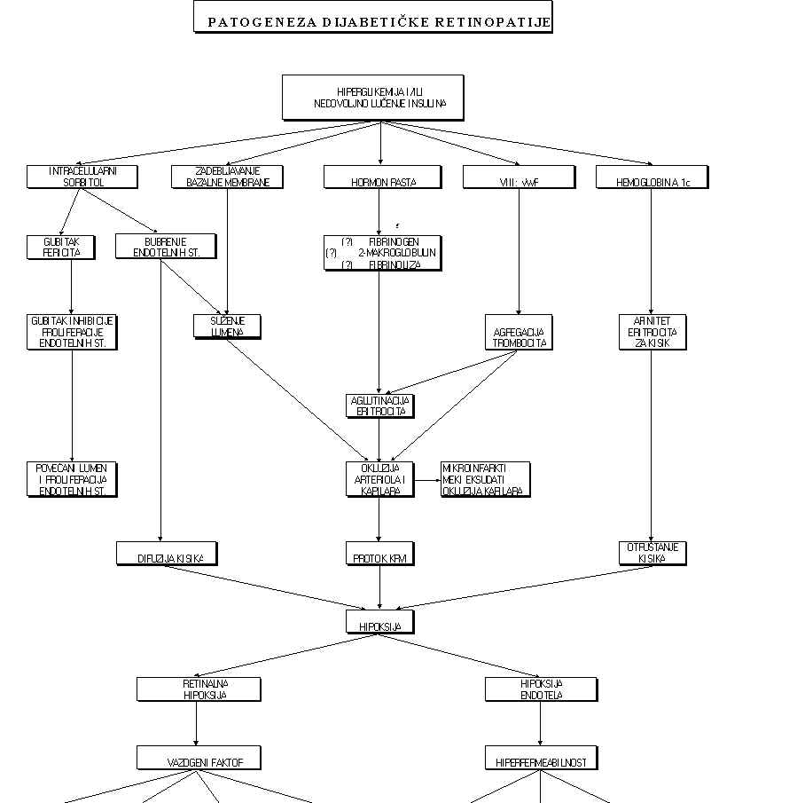 wpe1B.jpg (67670 bytes)